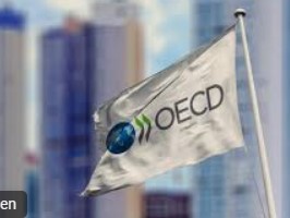 OECD-Steuerreform: Ein Nein für eine gerechtere Lösung für alle